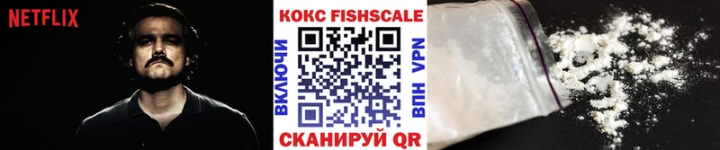мега ТОР  купить наркоту  Красноуфимск  COCAIN Fish Scale 