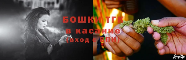 МДПВ Нея