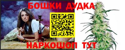 бошки Будённовск