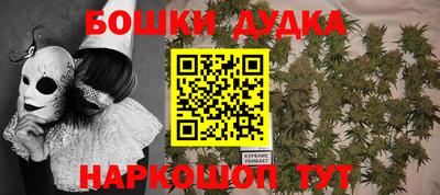 бошки Будённовск