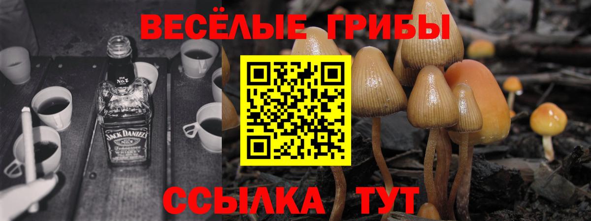 NBOMe  Меф МЯУ МЯУ   Альфа ПВП СК кристаллы  Каннабис  Красноуфимск  Кокаин  ГАШ 