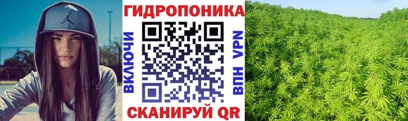Марихуана гибрид Красноуфимск
